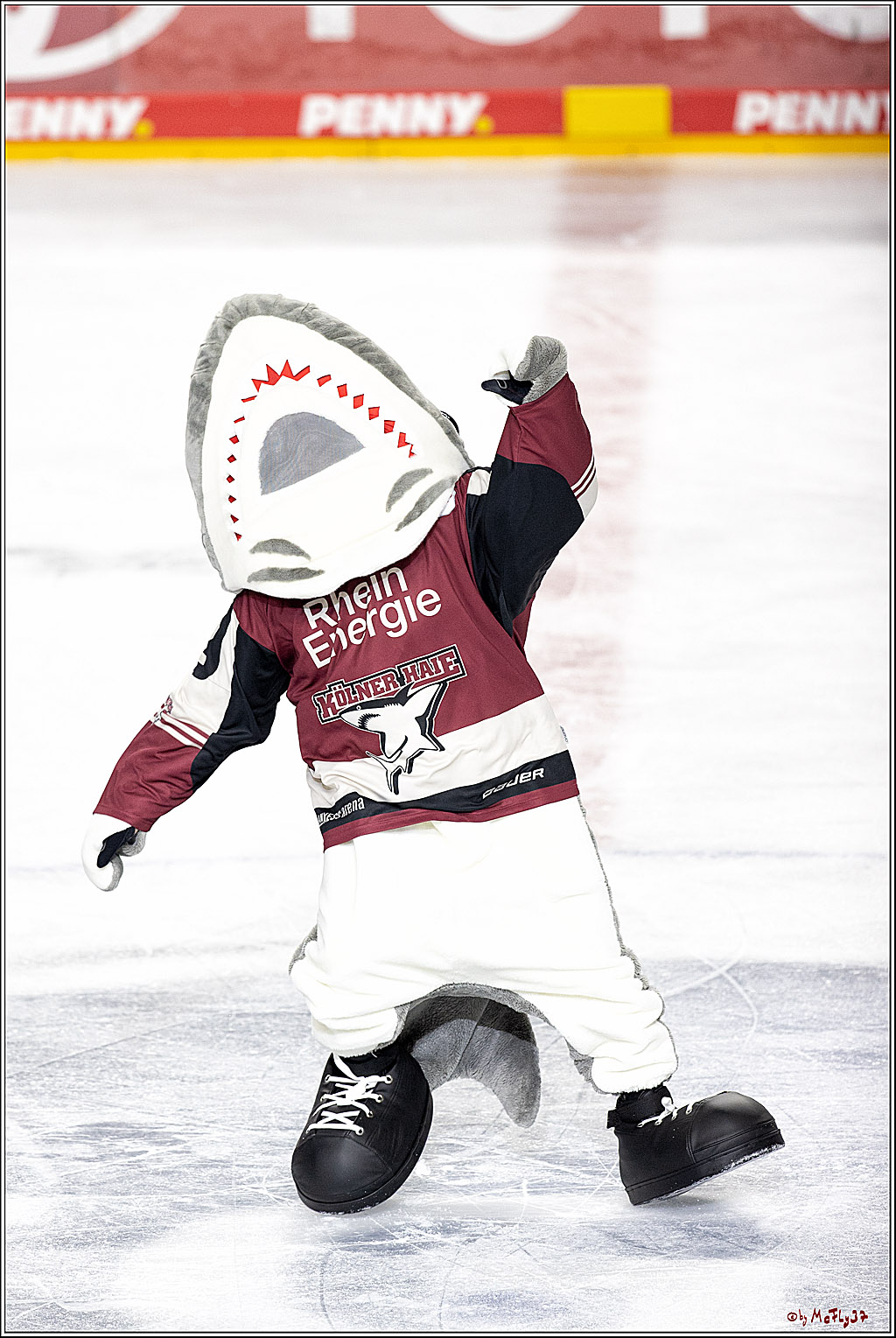 PENNY DEL;  Koelner Haie - Nuernberger Ice Tigers; Koeln, 25.03.2021